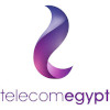 Logo of Telecom Egypt